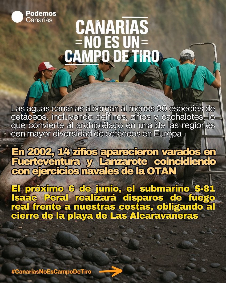 ⛔ Cerrar la playa para proteger a las personas está bien.
Pero ¿quién protege a los cetáceos, tortugas y peces que no pueden huir del ruido, las explosiones ni la contaminación por metales pesados?
⚠️ ¡Esto es ecocidio!
#CanariasNoEsCampoDeTiro #CanariasPorLaPaz