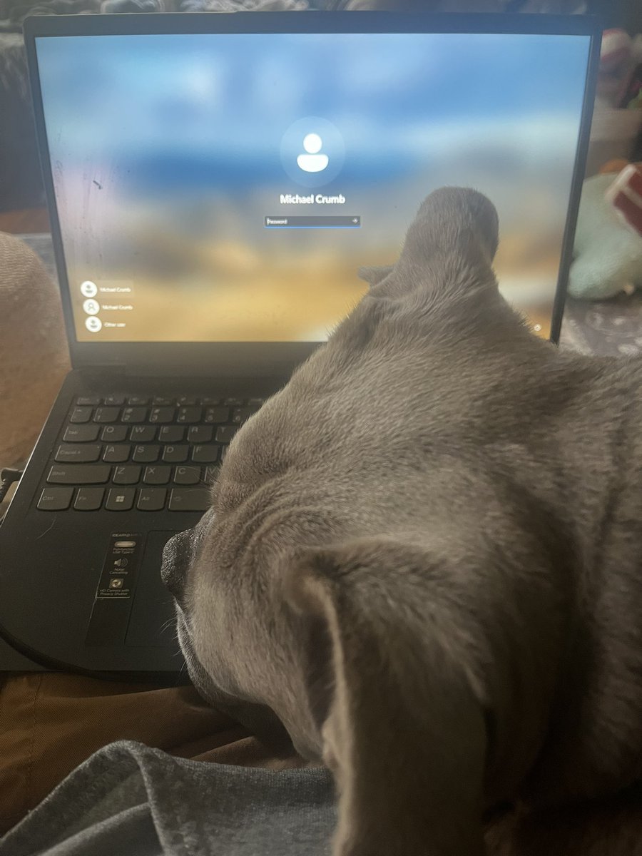 KingTuckerC's tweet image. Still working with the D on priorities. I figure with my head draped across his computer he won’t be able to work today. 🤷♂️😏😉😂❤️