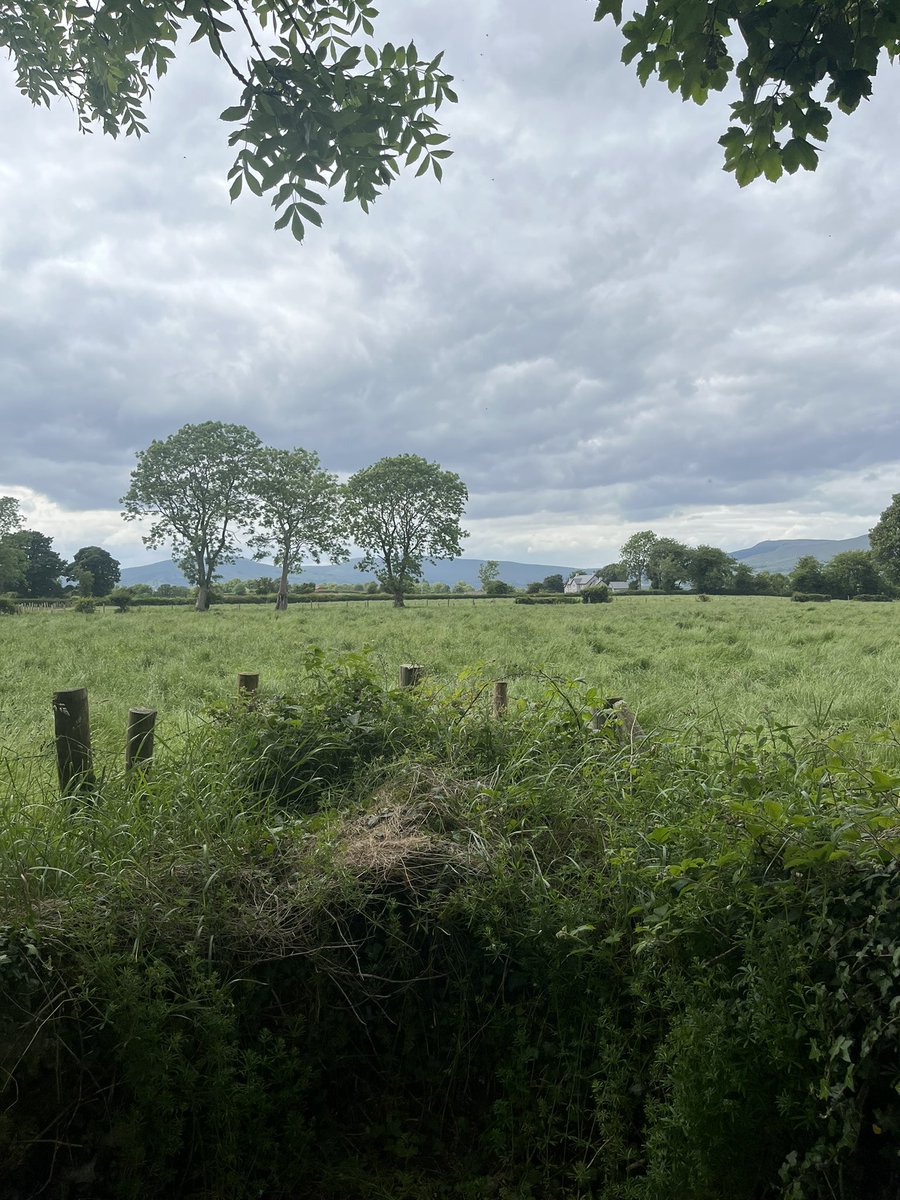 WomensSpacesNI's tweet image. And it’s a wrap and check out all these wonderful smiling faces at Tobermore. Rural women just love engaging in conversation and sharing stories about their lives and the smiling as they left was all the feedback we needed. Really warms the heart. Thanks to Bronagh as well!