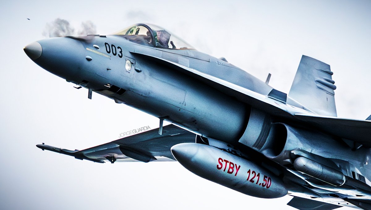 JorgeGuardia_'s tweet image. Los avispones pican. #F18 #AXALP