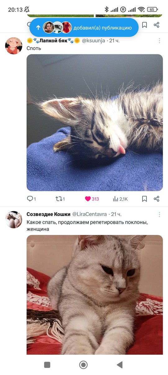 <a href="/ksuunja/">🌞🐾Лапкой бяк🐾🌞</a> #дватвитаподряд)