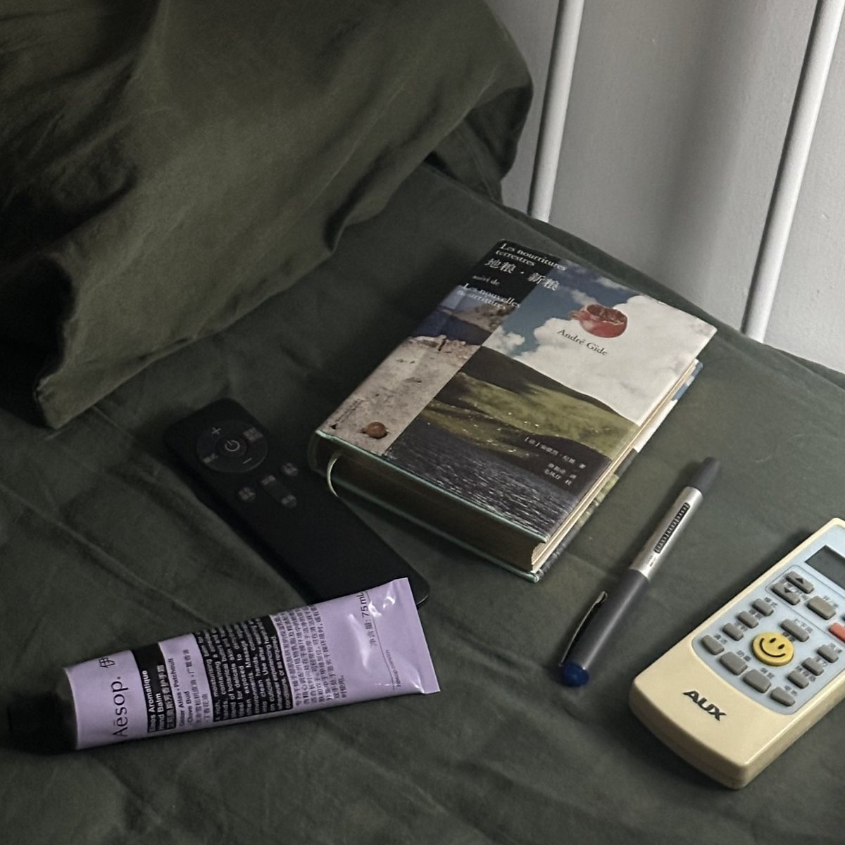 那天晚上，我们在墓边，咀嚼着玫瑰花瓣，接了吻。