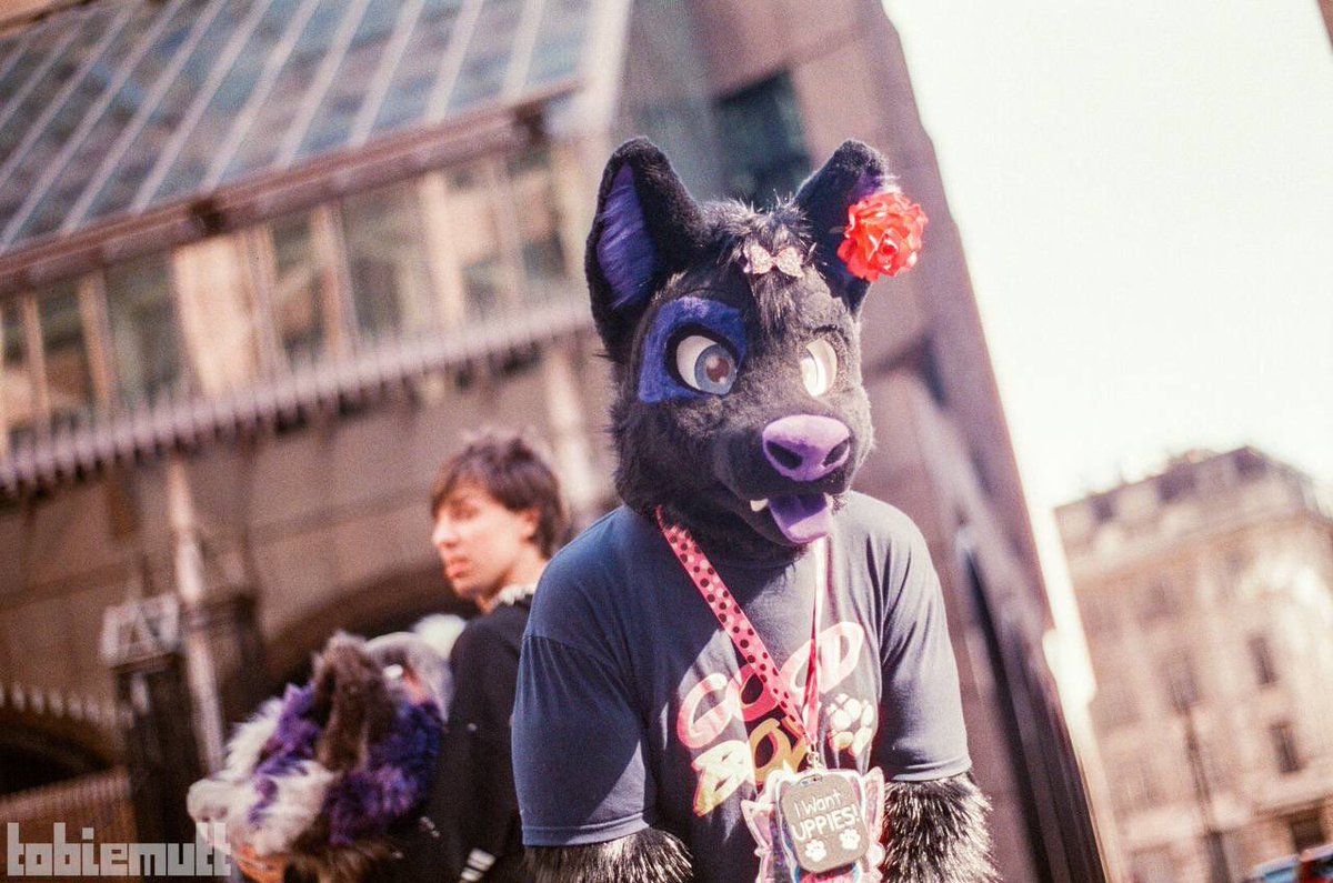Happy pride month! 🌈 
Be fruity and kiss puppyboys (like me!) 💜🐾