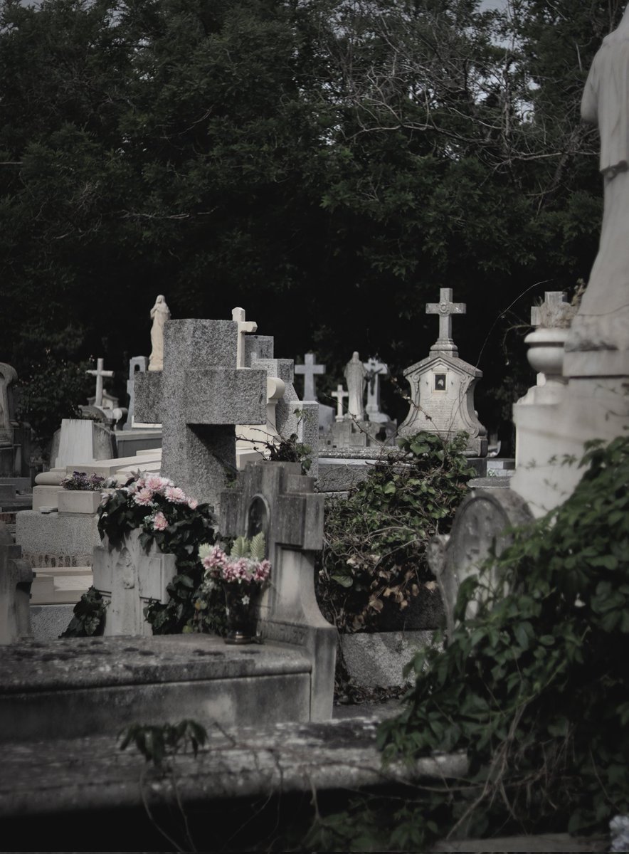 fallenivy_'s tweet photo. Cementerio de la Almudena y sus inquilinos 🐱 https://t.co/yCUsj6BkJR