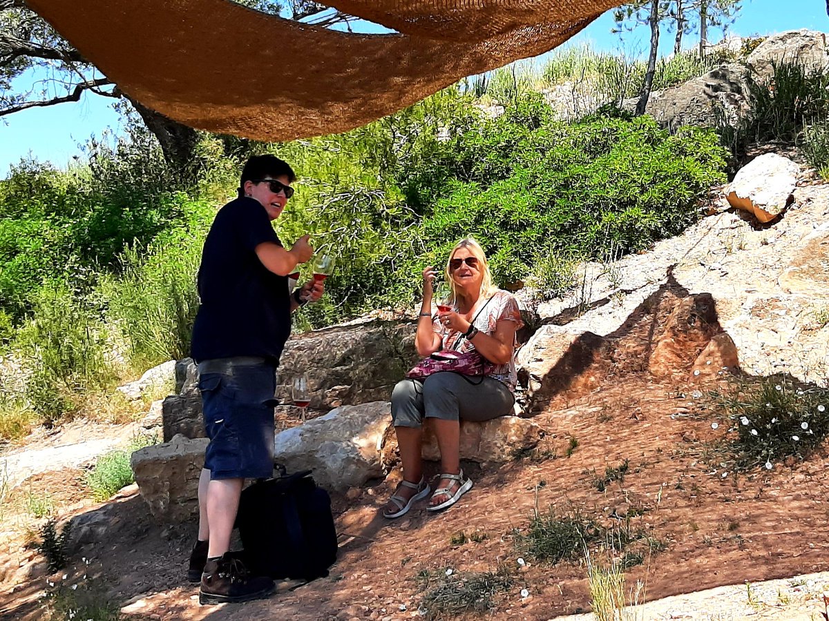 7MikeCollins6's tweet photo. Spectacular view tasting al fresco with Angela at Bodegas Coca I Fito, #Montsant #Priorat Great wines and a very helpful host. Thanks again to @priorathotel for arranging @Blinderswine @philipnolan1 https://t.co/OEcV85revz