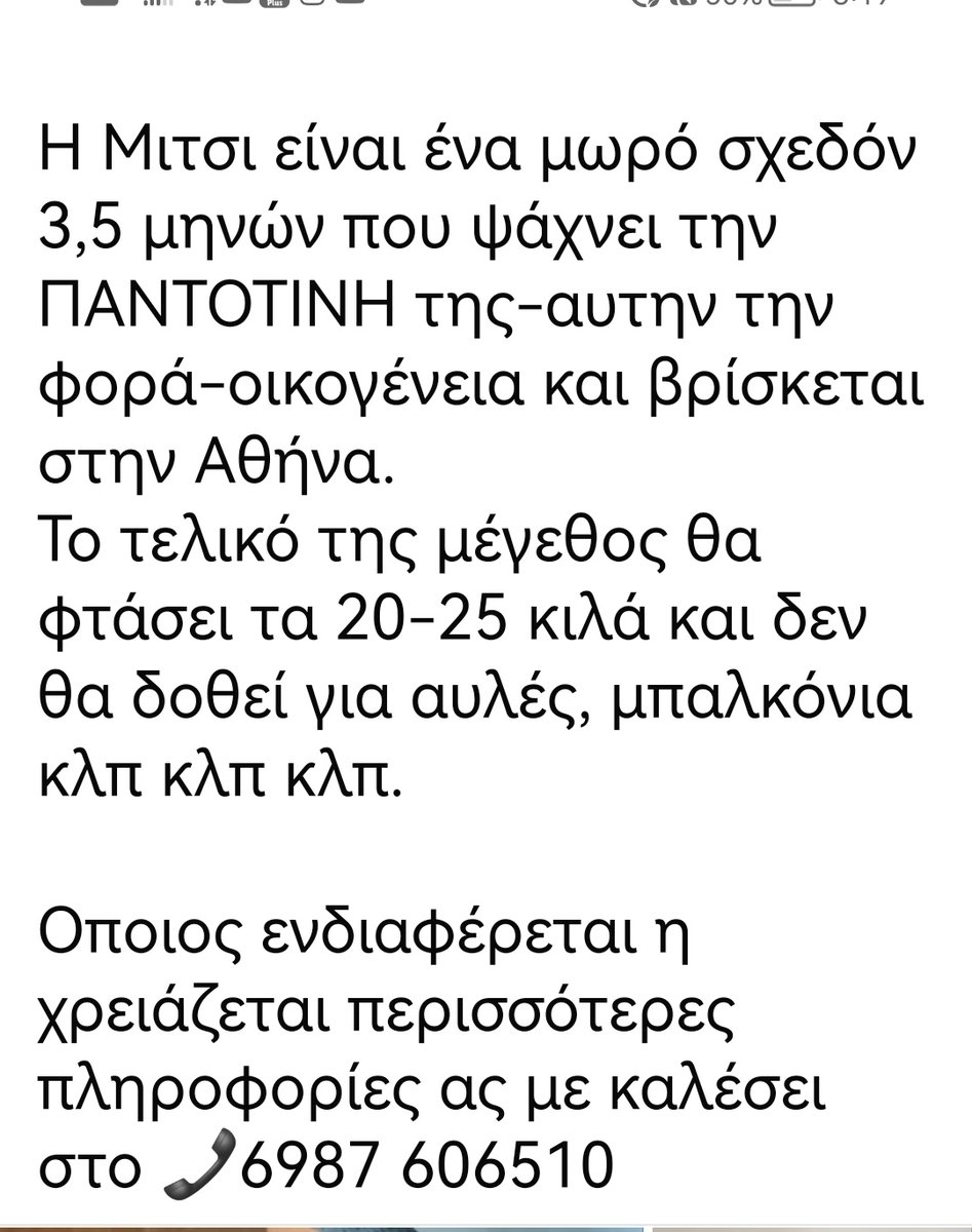 Αθηνα ‼️🆘‼️🆘‼️
Αυτό το πανεμορφο κοριτσακι το υιοθέτησαν κ μετά 3 βδομάδες το γύρισαν πίσω. Πάμε βρε παιδιά να του βρούμε οικογένεια που θα το αγαπήσει πραγματικά. 🏡🐕❤️✌️✌️✌️✌️✌️Κοινοποιούμε ‼️‼️‼️