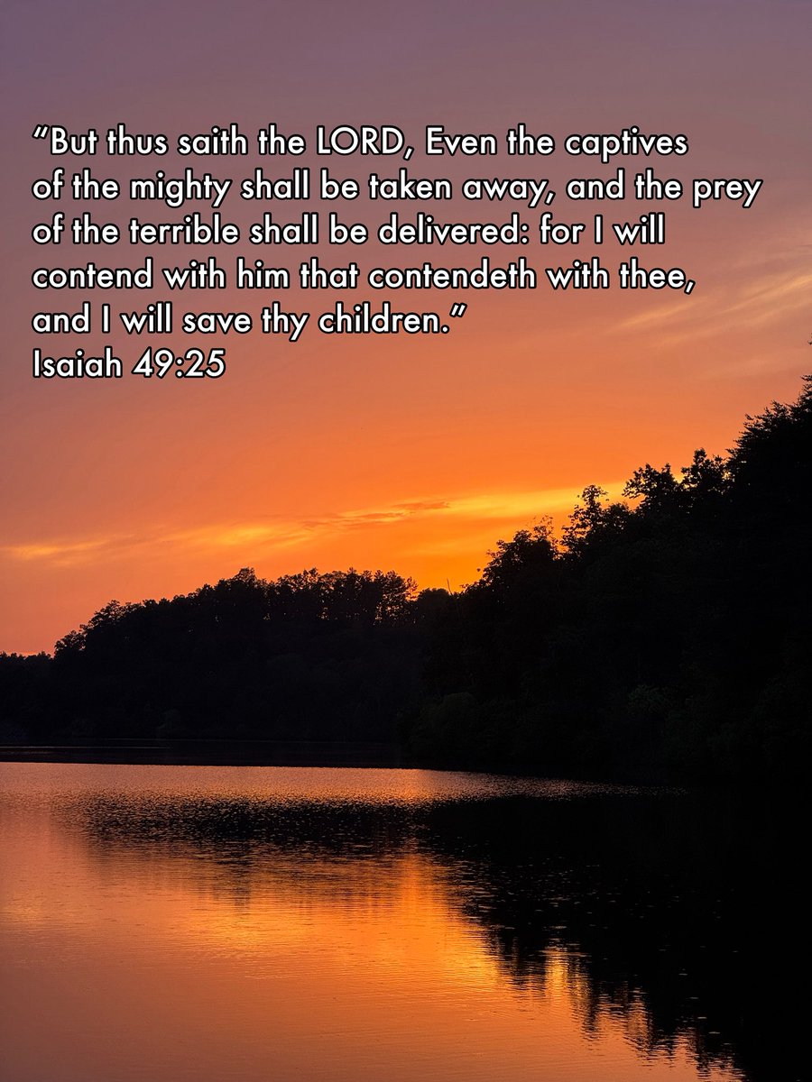 sdcoile's tweet image. 