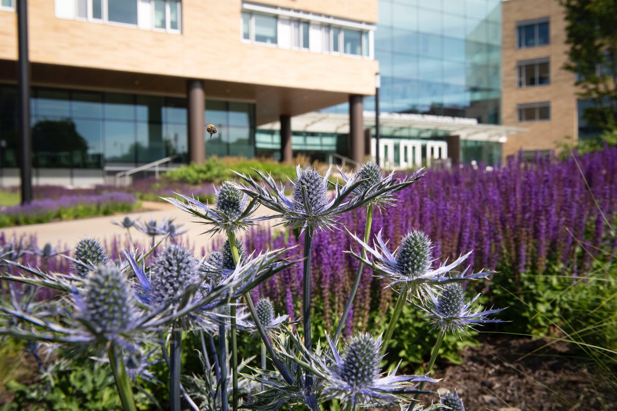 Thistle be the wildest thing you see today. 💜🌿