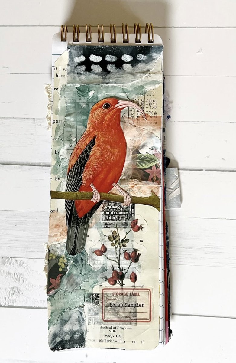 KirbyWolff's tweet photo. Over on Instagram my mom just finished an incredibly impressive 100 days of collages!

If you’re into this kind of artwork you should go follow her @ wolffpak3 on IG https://t.co/N5aFfeyruI