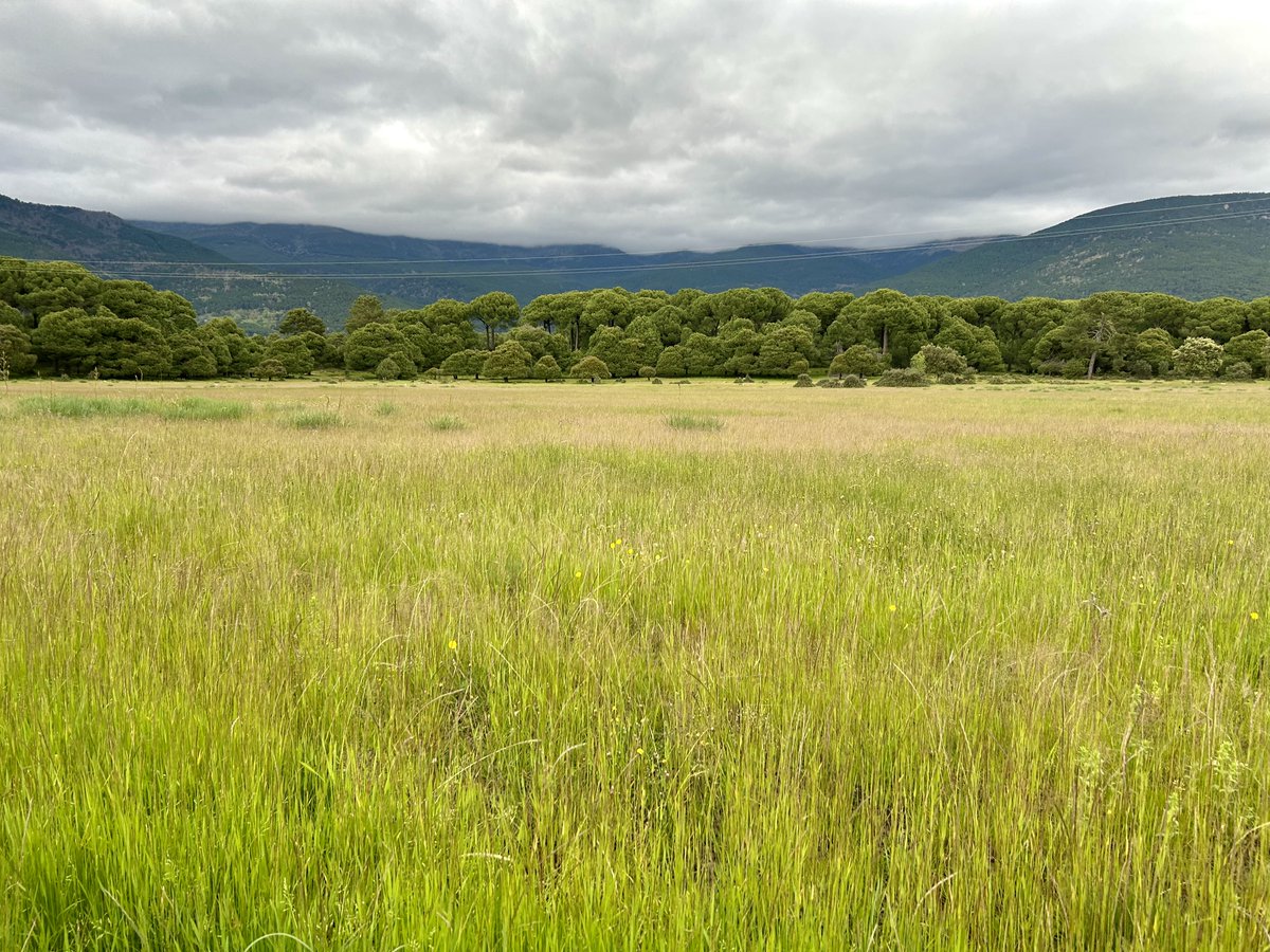 Aquí va la entrega de mayo de mi newsletter: «Derecho, Datos y Algoritmos - Mayo 2025» 
#IA #protecciondedatos #ciberseguridad #criptoactivos #menores #serviciosdigitales y más

linkedin.com/pulse/derecho-… a través de <a href="/LinkedIn/">LinkedIn</a>