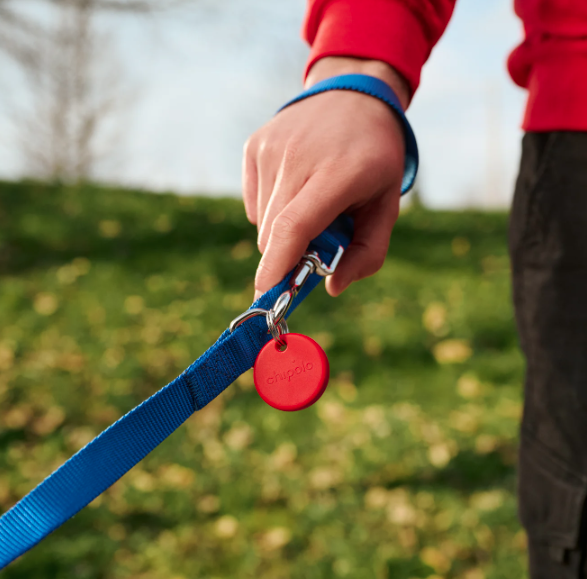 INTOUCH_RUGBY's tweet photo. Chipolo’s amazing tracking tag is ideal for Father’s Day gifts as they are a gift that keeps on giving — or rather, finding. @ChipoloTM ... https://t.co/MdNaqjavBX ... now live @ https://t.co/mfuNWdJEhw ! #chipolo #ad #fathersday #trackingtag https://t.co/FMctB7fJzB