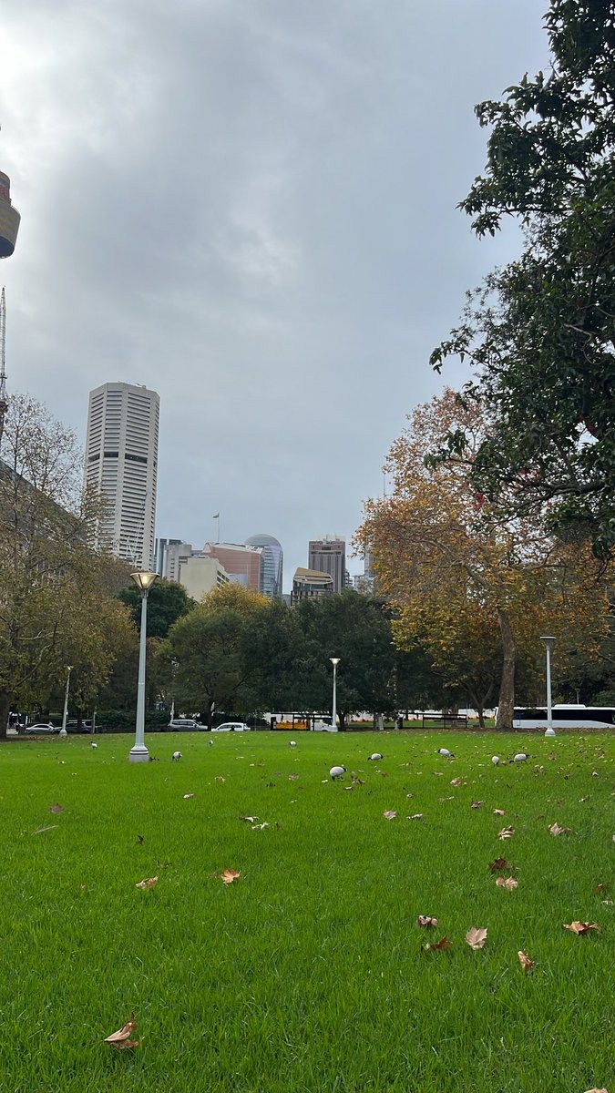 ssv435's tweet photo. الخريف🍂
اول مره اعيش الخريف من جد https://t.co/h8Zw6CX9bC