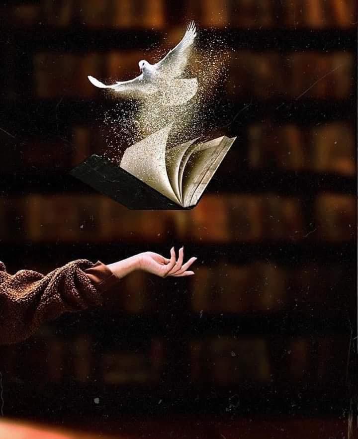 "tevekkül, insanı kuşlardan da yükseklere uçurur..."