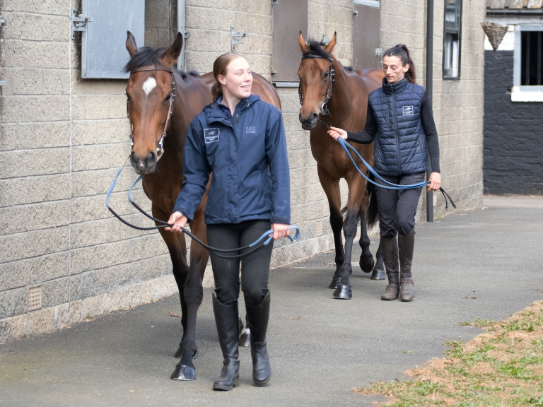Laverne (leading) and Polka at a recent visit to Julie Camacho's Star Cottage Stables 🐎

#Laverne #Polka #EliteRacingClub