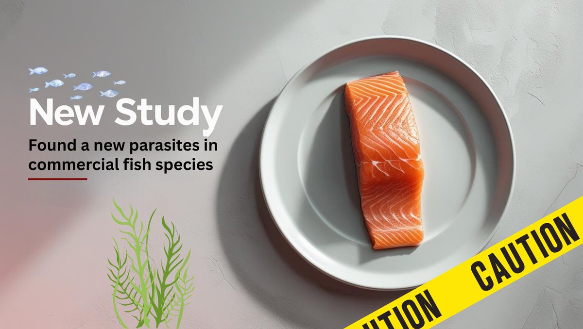 Scientists in Indonesia have found a parasitic worms in commercial fishes that’s genetically linked to strains from China.

Its spread could be tied to decades of migration, trade, and warming seas.

#OceanLife #Fisheries #Indonesia #China #AcademicTwitter #MarineBiology