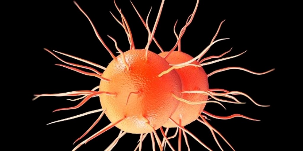 CDCSTD's tweet image. Clinicians: Many men and most women with #gonorrhea won&apos;t have symptoms. Know who to screen and when: bit.ly/37HIAkV