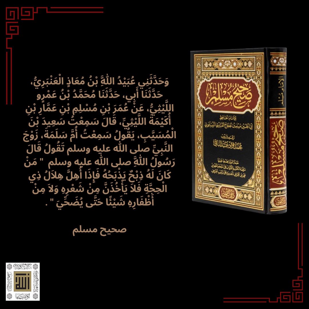 Book available on application and website as pdf or podcast.

Check following link for more:
quranicthought.com/books/صحيح-مسلم-3/

#sahihmuslim #hadith #dhulhijjah #application #podcast #pdf #knowledge #islamic #teachings #صحيح_مسلم #الحديث #الحديث_النبوي #متوفر #تطبيق