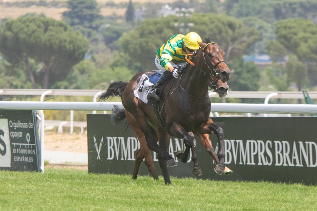 Oscar Blazquez tweet media