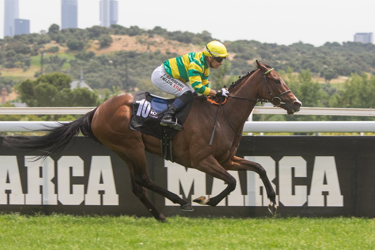 Oscar Blazquez tweet media