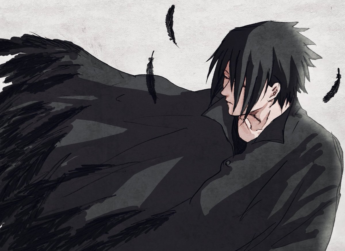 光を背負った羽🪶