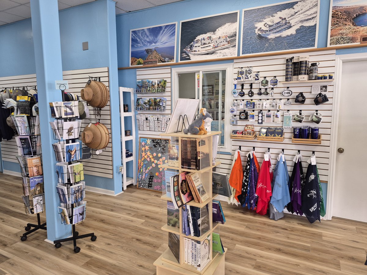 Ventura Harbor (@venturaharbor) on Twitter photo Even if you're not catching a boat, the newly refreshed <a href="/IslandPackers/">Island Packers</a> Gift Shop is worth a peek!
Filled with Channel Islands apparel, gifts, books, & a brand new kids’ section, it’s perfect for a thoughtful keepsake or coastal-inspired present📚🧢🦊
👉venturaharborvillage.com/directory/isla… Even if you're not catching a boat, the newly refreshed <a href="/IslandPackers/">Island Packers</a> Gift Shop is worth a peek!
Filled with Channel Islands apparel, gifts, books, & a brand new kids’ section, it’s perfect for a thoughtful keepsake or coastal-inspired present📚🧢🦊
👉venturaharborvillage.com/directory/isla…