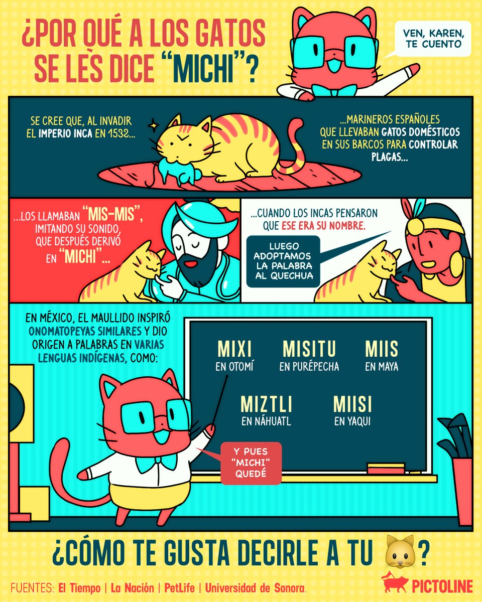 pictoline's tweet image. 🐱🔍 El maullido de los “michis” inspiró onomatopeyas y dio origen a palabras en varias lenguas indígenas ☝️🤓🐾

#michi #gato #curiosidades #mascotas #historia #cultura #animales #catlovers #pictoline