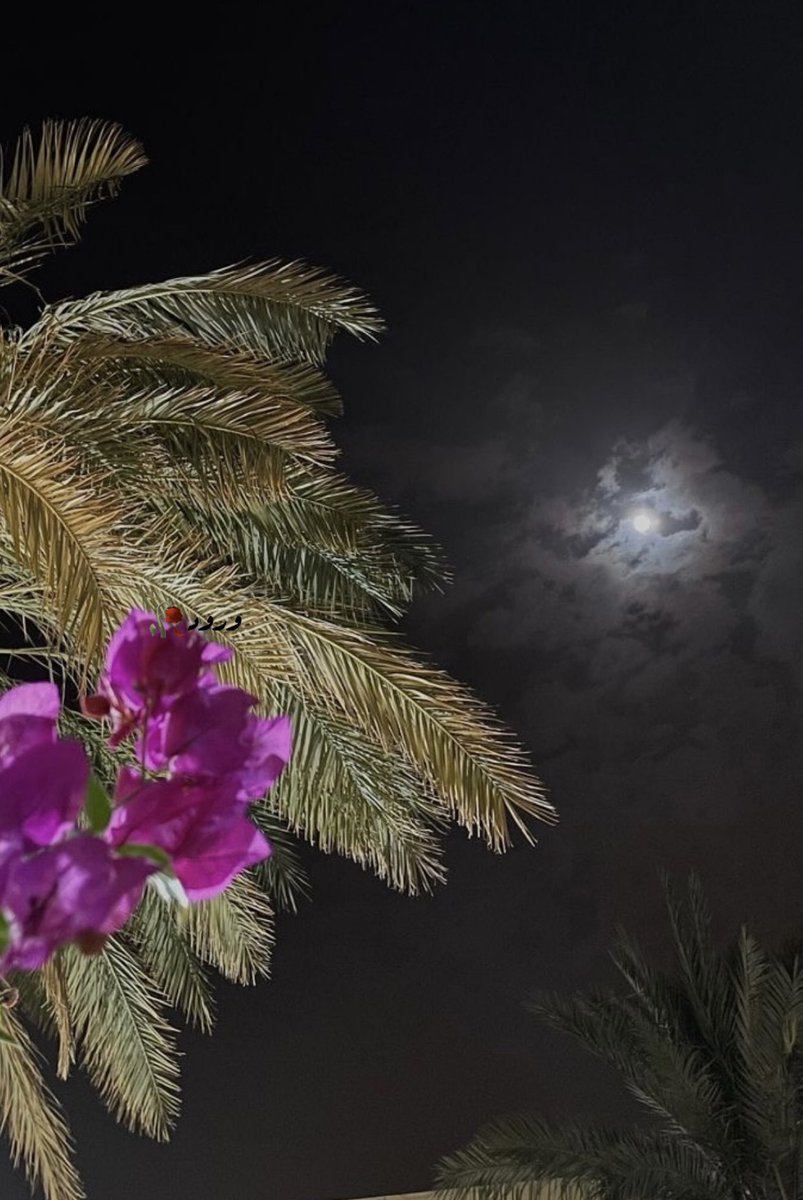 "مساء الفرح والخير 
على القلوب العامرة بالخير ."❤️

#مساء_الخير_والسعادة 

🥀🌕..