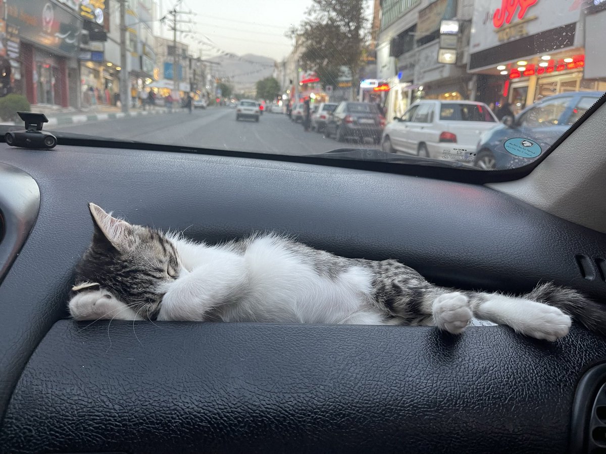 Popo🇮🇷 tweet media