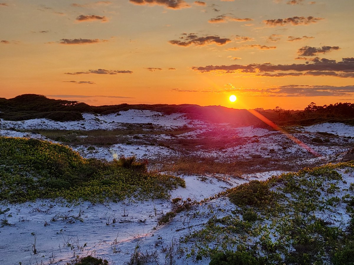 LisaontheWrite ๐บ๐ธ (@lisaonthewrite) on Twitter photo Happy Monday!
One last sunset from Topsail Hill State Park in Destin, Florida. Camping trip over, back to reality. <a href="/spann/">James Spann</a> Happy Monday!
One last sunset from Topsail Hill State Park in Destin, Florida. Camping trip over, back to reality. <a href="/spann/">James Spann</a>