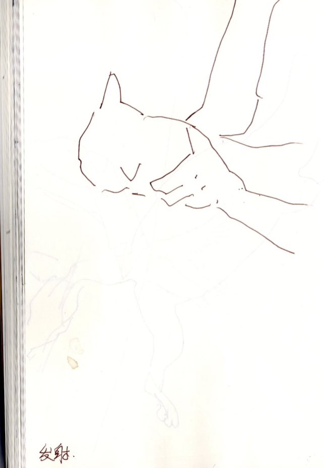 sobblebestbot's tweet photo. Give the cat a bath, and then it will be fired like a bullet.
#sketchbook https://t.co/QFRyyKhCIo