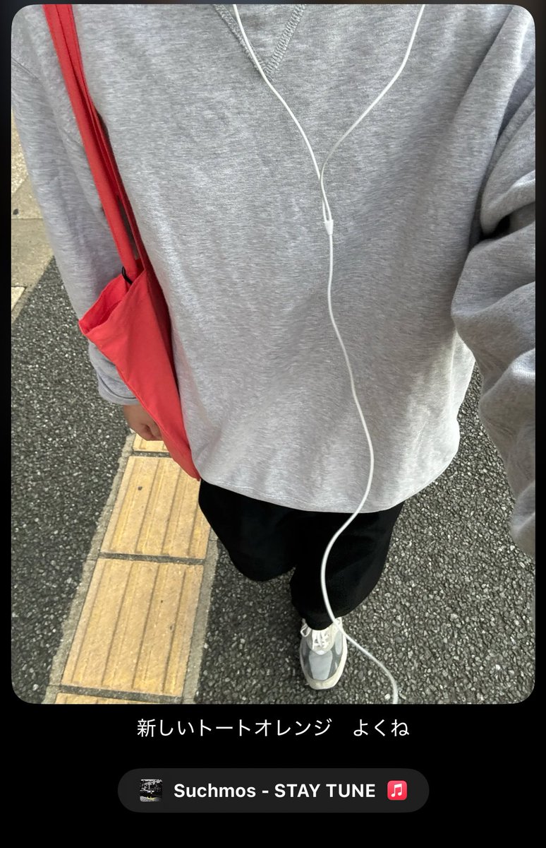 lp02rrr's tweet photo. suchmosトートいい色 https://t.co/Eec2H9O1Vt