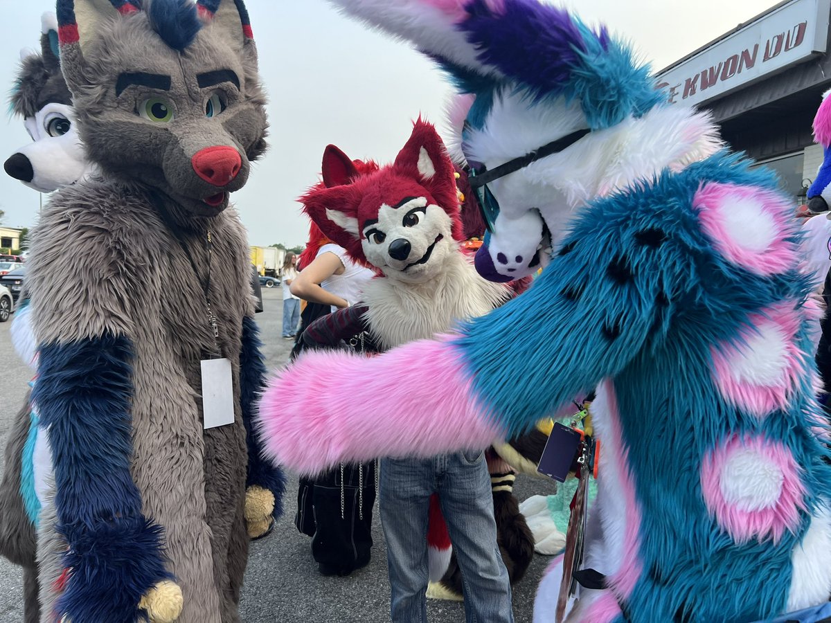 Music City Furs! (Tennessee's Central Community!) (@musiccityfurs) on Twitter photo Looking for photos that might have been taken of you at our last furmeet? 🤔📸
Come check out our photo channel where you can find all the photos from our previous meets!! 👀✨
MCF Photos: t.me/MCFPhotos
📸: <a href="/leofox_photo/">Leo the Fox</a> Looking for photos that might have been taken of you at our last furmeet? 🤔📸
Come check out our photo channel where you can find all the photos from our previous meets!! 👀✨
MCF Photos: t.me/MCFPhotos
📸: <a href="/leofox_photo/">Leo the Fox</a>