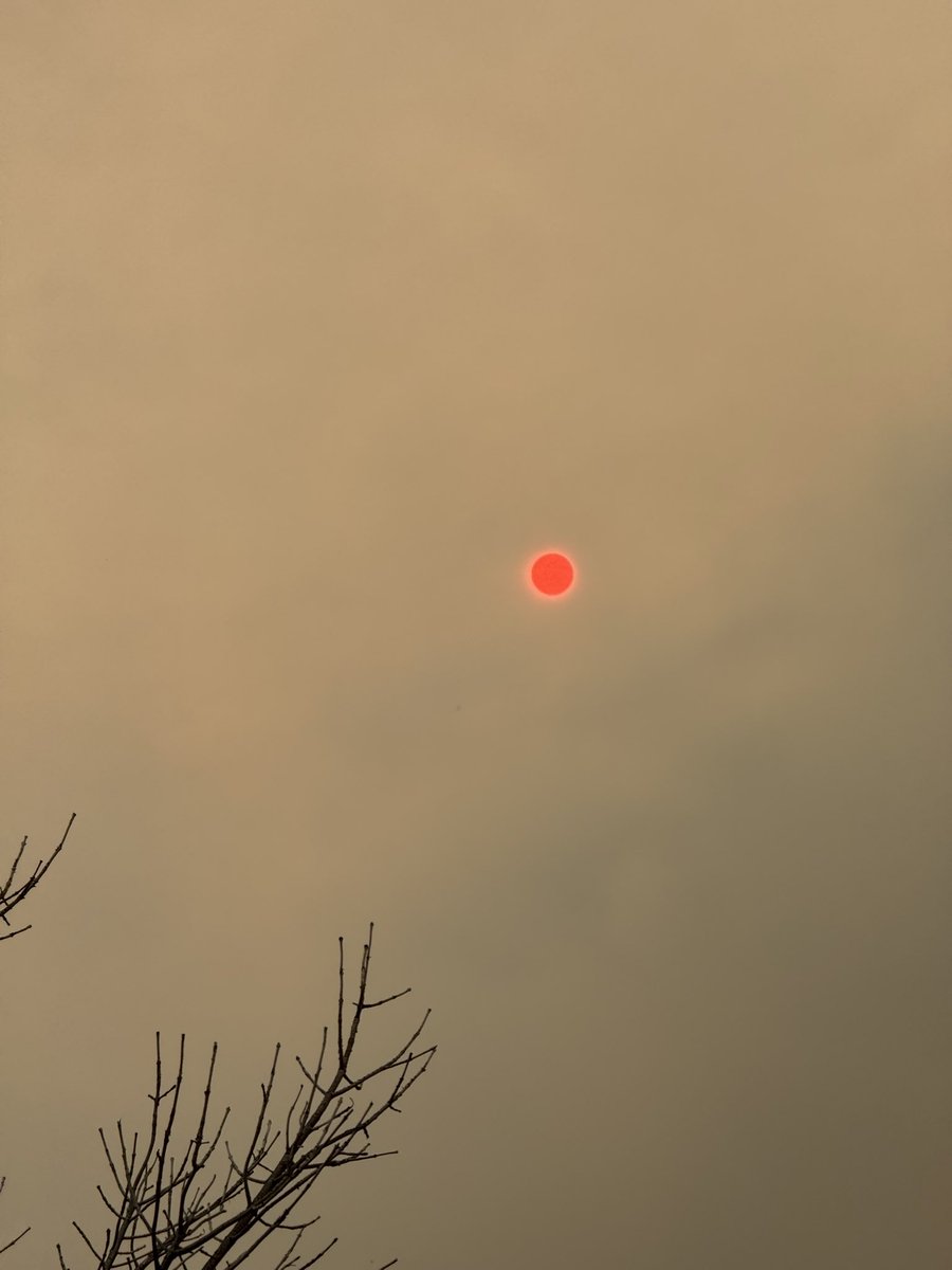 Simpson_Boy17's tweet photo. @dom_lucre We have Forrest fires going on around my area and it causes the sun to look like this https://t.co/K4eaFe61kK