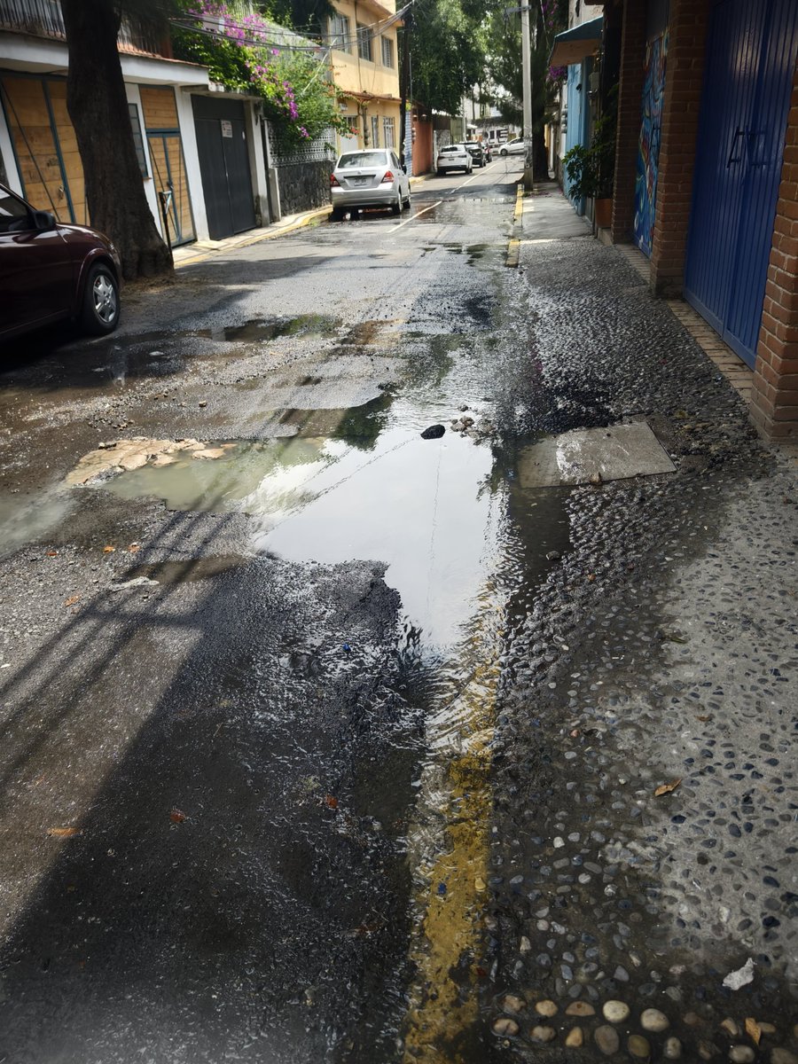 Fernando Loaiza tweet media