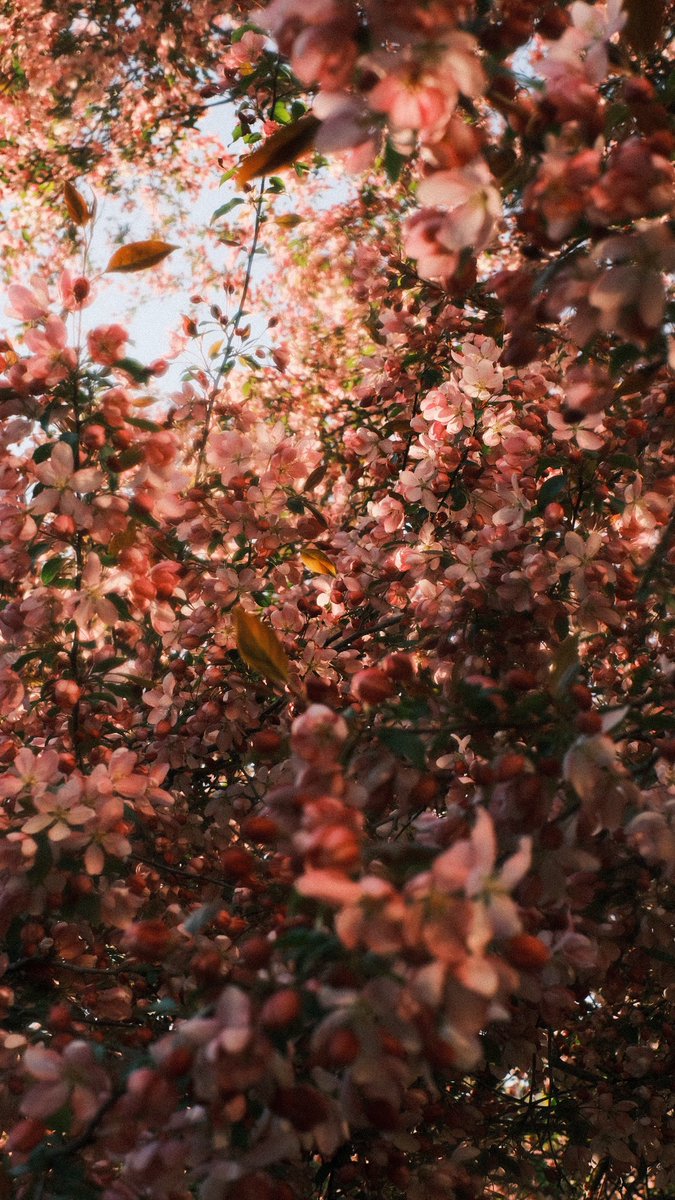 Calmnist's tweet image. Когда всё вокруг - как из сна.