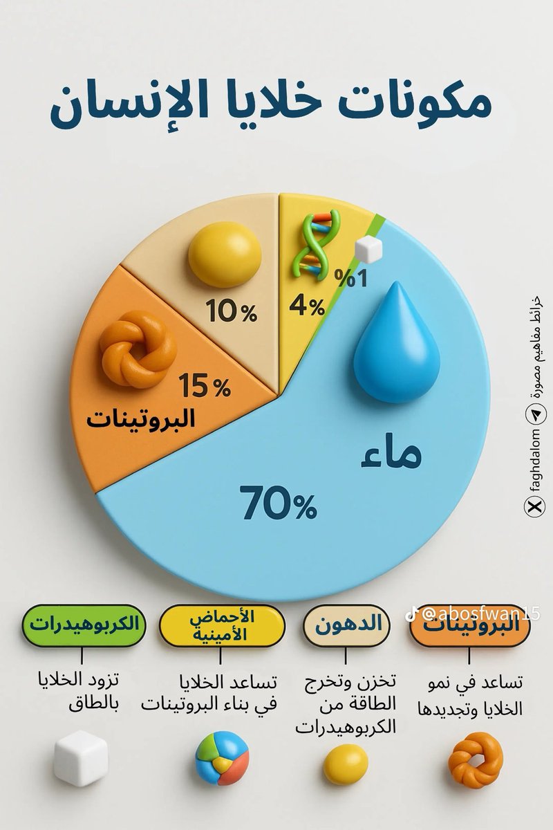 مكونات خلايا الإنسان:
#علم #احياء #خلية #تغذية #مواد #حيوي #انسان #الحج #عرفه