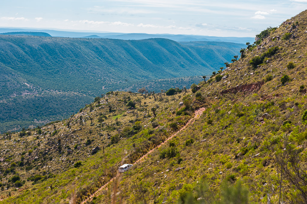 Covering over 1,640 km², Addo is nearly the same size as London (UK) or twice the size of New York City. #AddoElephantNationalPark #HistoricMonday