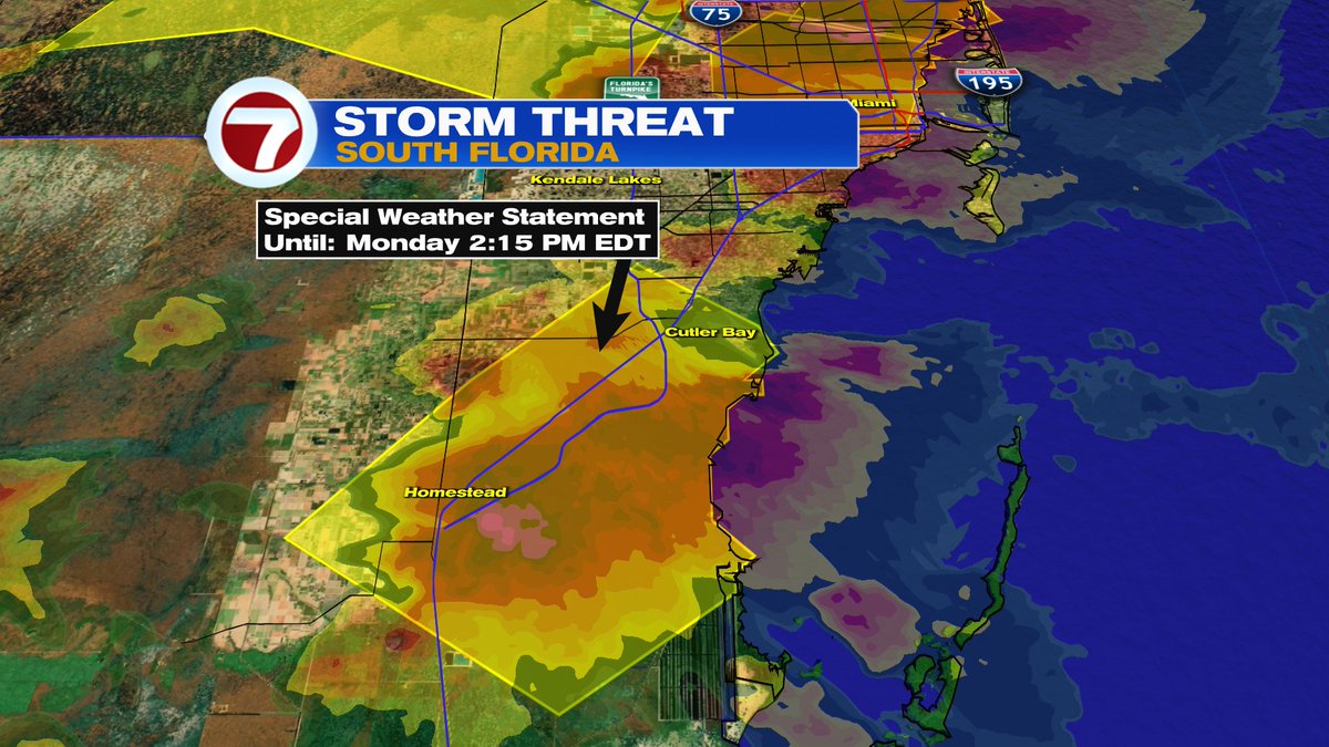 Erika Delgado (@erikadelgadowx) on Twitter photo Strong thunderstorm near Homestead capable of producing wind gusts of 45-50mph and hail about a half inch in size. Storm barely moving. <a href="/wsvn/">WSVN 7 News</a> @7weather Strong thunderstorm near Homestead capable of producing wind gusts of 45-50mph and hail about a half inch in size. Storm barely moving. <a href="/wsvn/">WSVN 7 News</a> @7weather