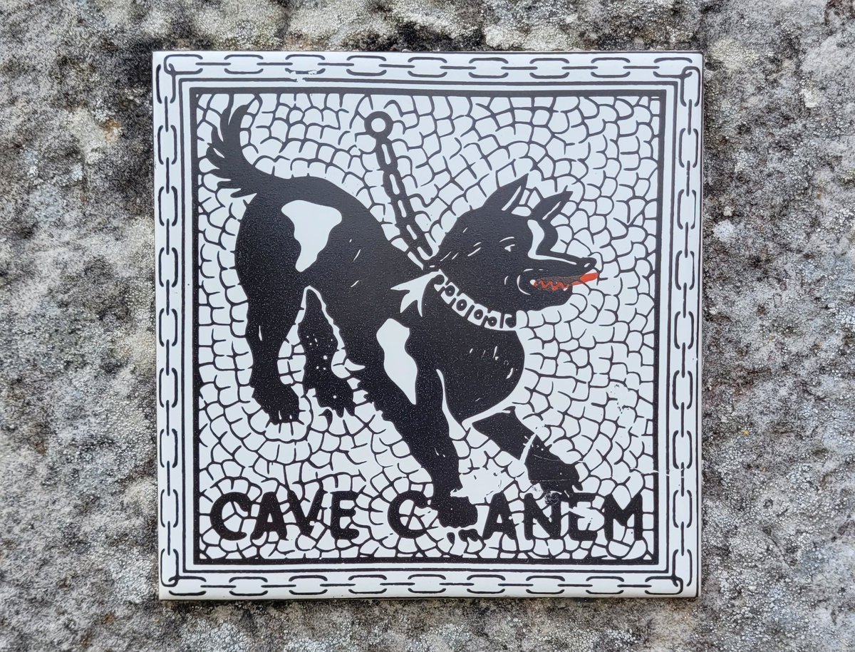 ManckoFr's tweet image. Cave canem : Attention, chien méchant en #latin languagesandnumbers.com/comment-compte…
