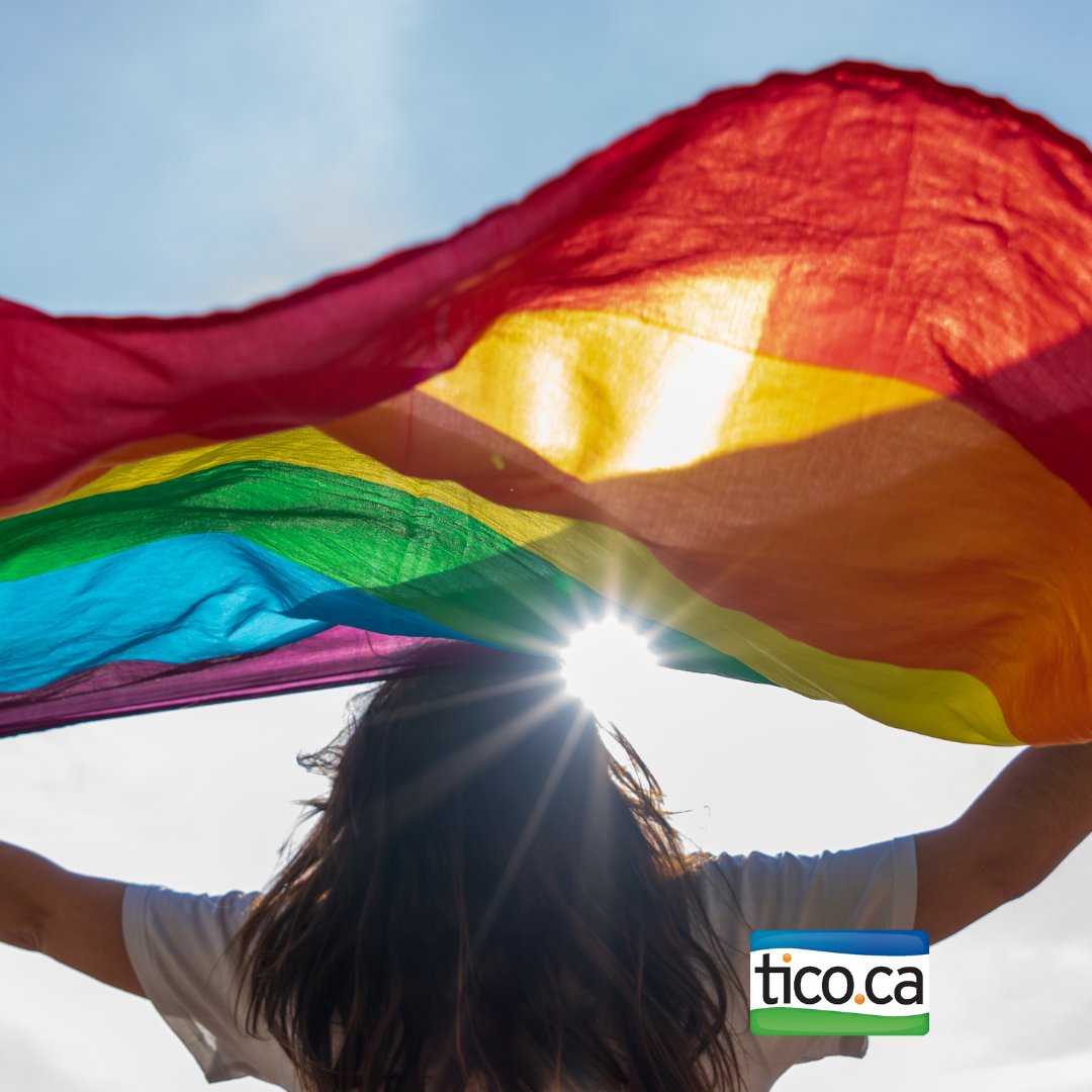 This Pride Month, TICO celebrates inclusion, equality, and the vibrant diversity that enriches our journeys and our lives.