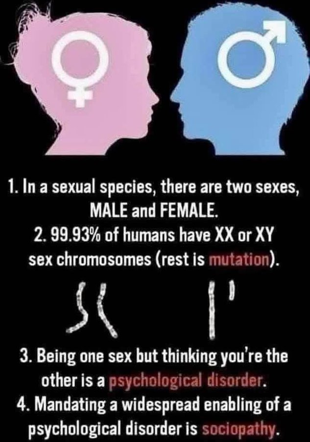 <a href="/AntiWokeMemes/">Anti Woke Memes</a> Right