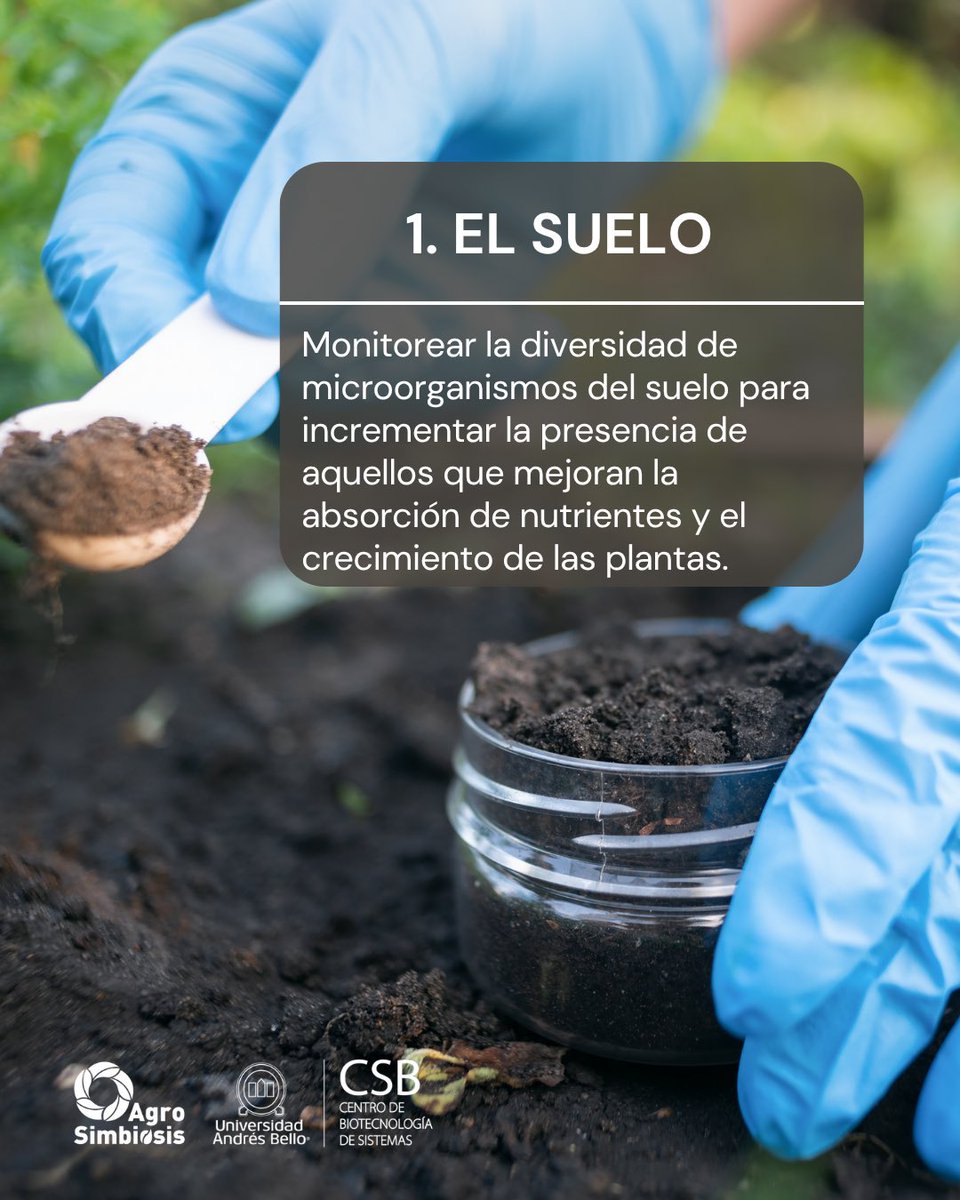 CSB_UNAB's tweet image. ➕Biodiversidad = ➕ fertilidad ➕ productividad
📆 Jueves 12 de junio
🕘 9.00 am
📍 Gran Hotel Isabel Riquelme, #Chillán
🖥️ Regístrate en: welcu.com/csb-uandresbel…
#Biotecnología #Sostenibilidad #Bioeconomía #Innovación #SomosUnab #PTEC #PTECcc