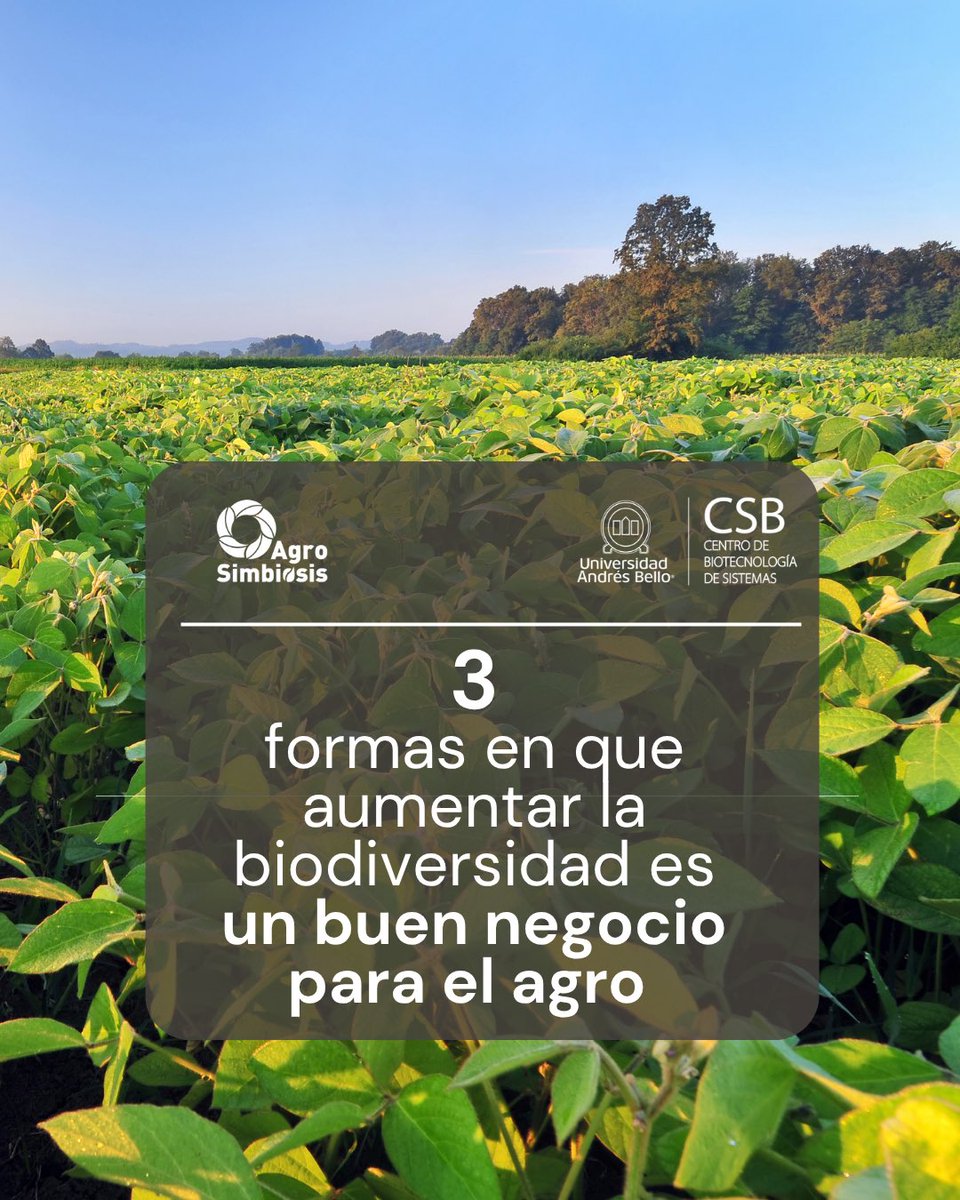 CSB_UNAB's tweet image. ➕Biodiversidad = ➕ fertilidad ➕ productividad
📆 Jueves 12 de junio
🕘 9.00 am
📍 Gran Hotel Isabel Riquelme, #Chillán
🖥️ Regístrate en: welcu.com/csb-uandresbel…
#Biotecnología #Sostenibilidad #Bioeconomía #Innovación #SomosUnab #PTEC #PTECcc
