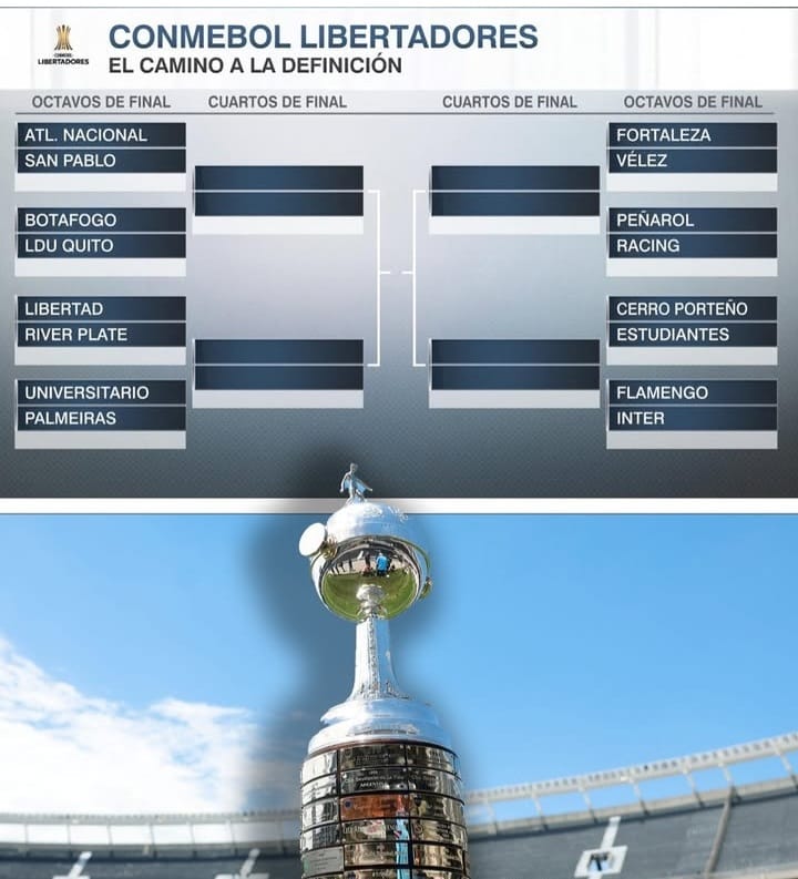 Soy de los creen que el Guma puede!!!

Obvio, hay que reforzar el equipo:

Falta un central con jerarquía, un verdadero creativo y un nueve que aguante 90 minutos.

La base está!!

Tampoco a los otros, será fácil ganar en La Huerta!!