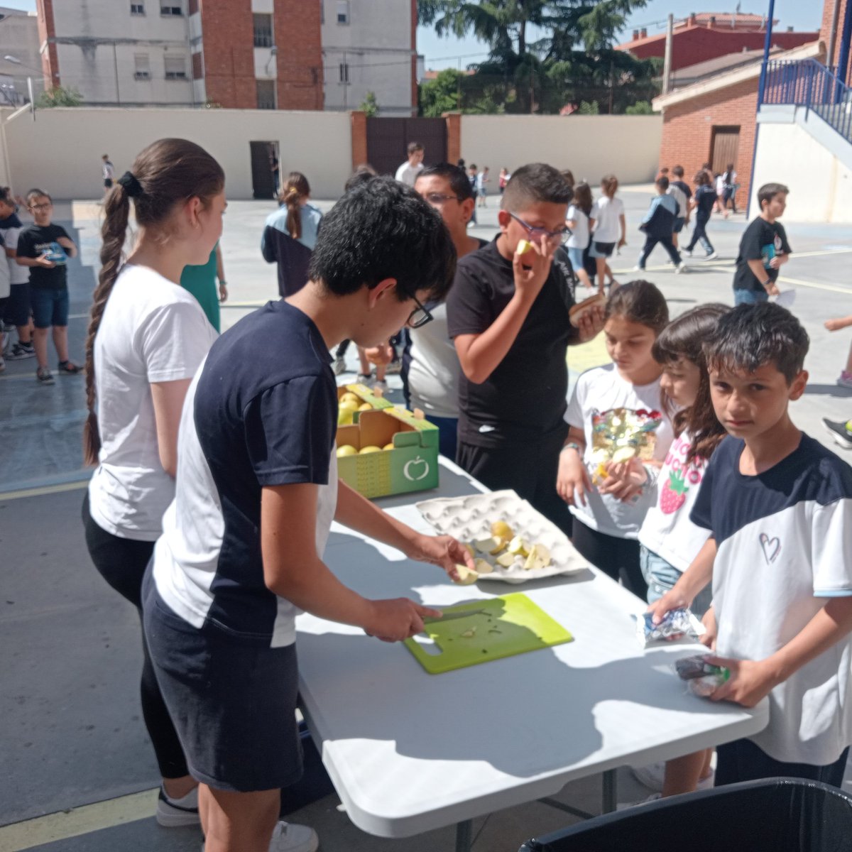 Stma Trinidad- Fundación Educativa ADD tweet media