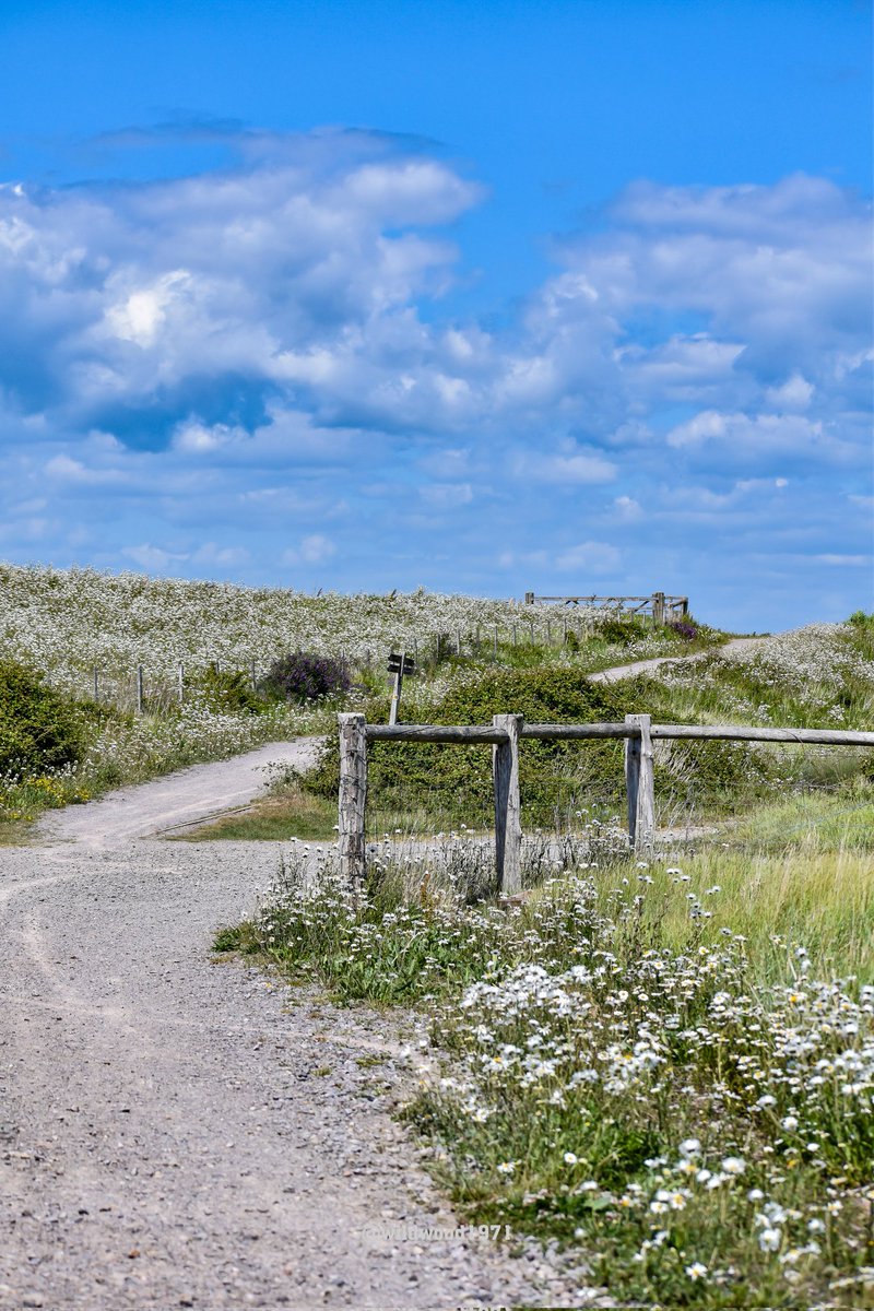RSPB Medmerry <a href="/PONewsHub/">PO Hub</a> <a href="/greatsussexway/">The Great Sussex Way</a> <a href="/ExpWestSussex/">Experience Sussex Partnership</a> <a href="/VisitSEEngland/">Visit South East England</a> <a href="/BBCSouthWeather/">BBCSouthWeather</a> <a href="/itvmeridian/">ITV News Meridian</a> <a href="/ThePhotoHour/">#ThePhotoHour</a> <a href="/AlexisGreenTV/">Alexis Green</a> <a href="/PhilippaDrewITV/">Philippa Drew</a> <a href="/HollyJGreen/">Holly Green - Weather Presenter</a>