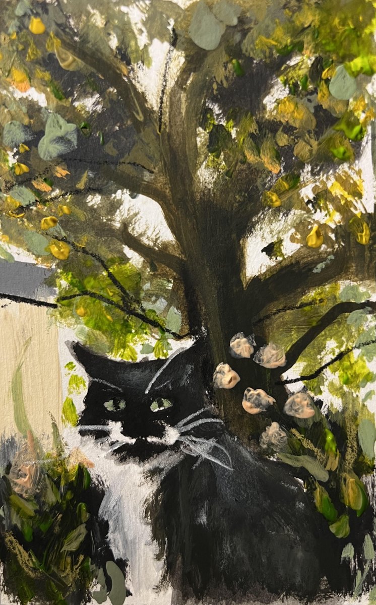 Sarah Evans tweet media