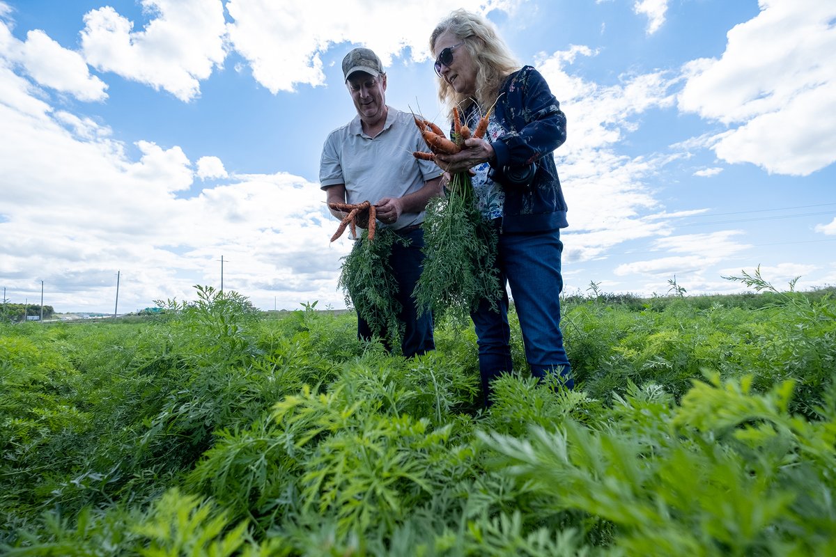 Ontario Agri-Food Innovation Alliance (@aginnovationon) on Twitter photo #LocalFoodWeek starts today! Many #UofG researchers are out in the fields helping farmers grow the best food for our plates. TY to all #Ontario growers, producers, processors and researchers! #loveONTfood
<a href="/UofGResearch/">UofGResearch</a> <a href="/UofGuelphOAC/">Ontario Agricultural College</a> <a href="/OMAFAinnovates/">OMAFA Research & Innovation</a> #LocalFoodWeek starts today! Many #UofG researchers are out in the fields helping farmers grow the best food for our plates. TY to all #Ontario growers, producers, processors and researchers! #loveONTfood
<a href="/UofGResearch/">UofGResearch</a> <a href="/UofGuelphOAC/">Ontario Agricultural College</a> <a href="/OMAFAinnovates/">OMAFA Research & Innovation</a>
