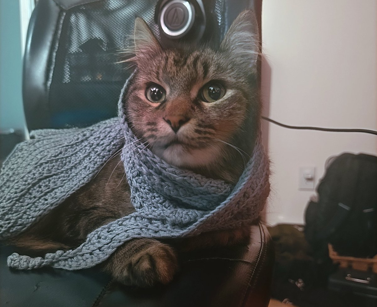 fashion icon