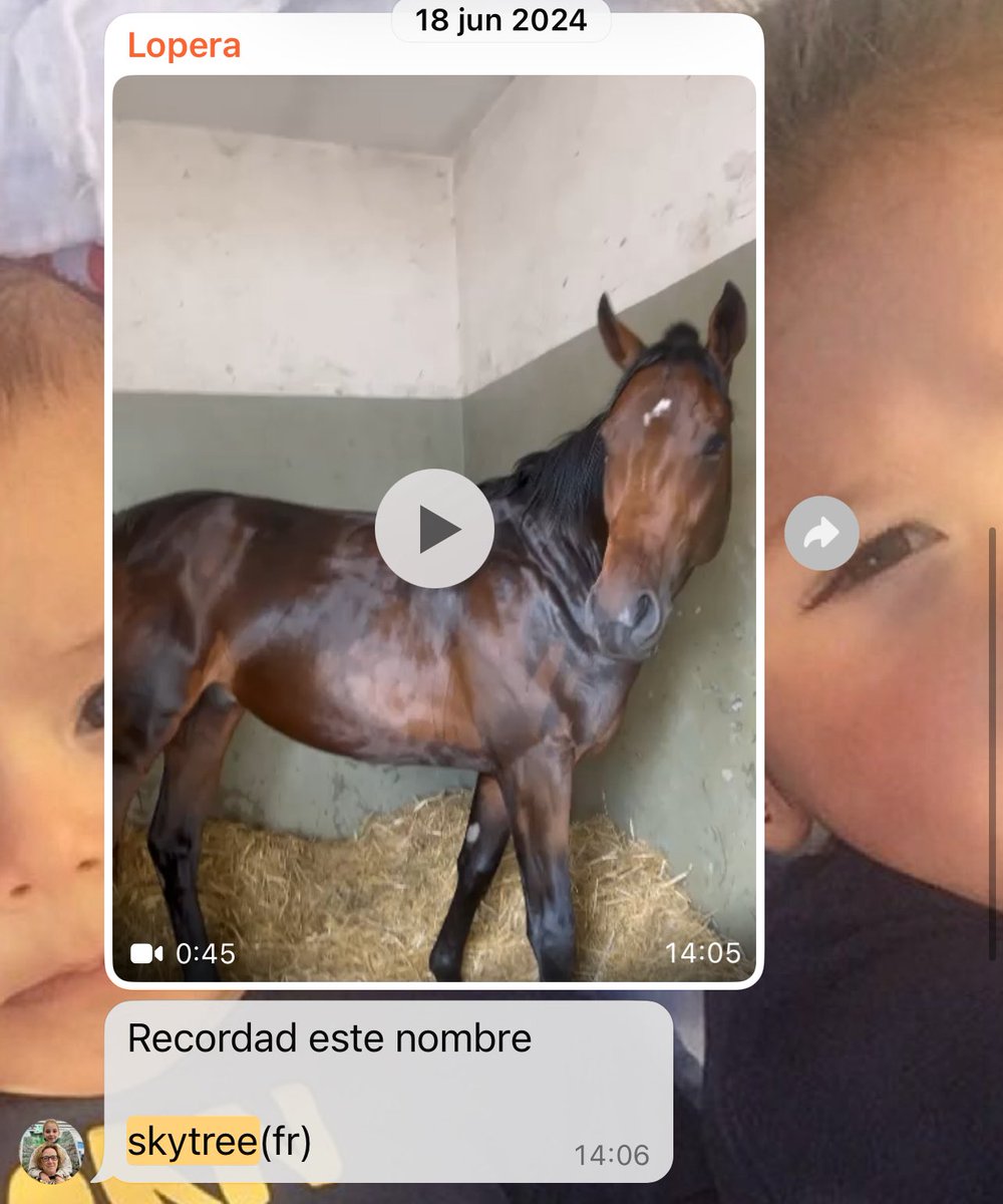 Oscar Blazquez tweet media